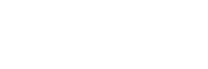 Mis_logo_white